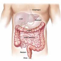 All about Colon Detox
