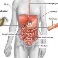 Colon Detoxification