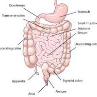 Colon Disorder