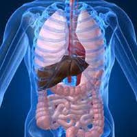 Constipation and the Colon