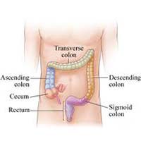 Harm the Colon