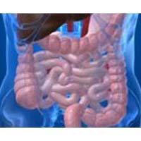 Intestinal Cleansing