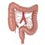 Top 5 Colon Cleanse