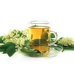 Body Cleansing Detoxification Body Cleansing Detoxification