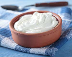 Relationship Between Probiotics And Prebiotics